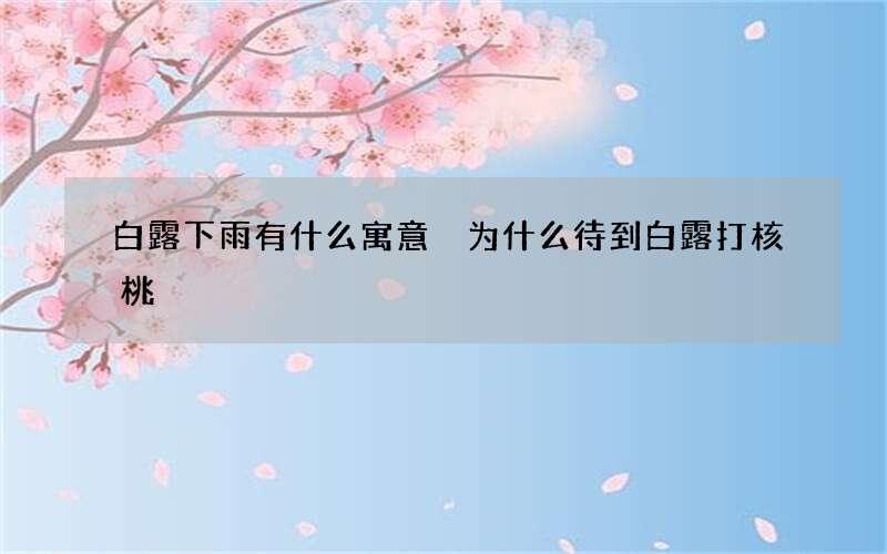 白露下雨有什么寓意 为什么待到白露打核桃